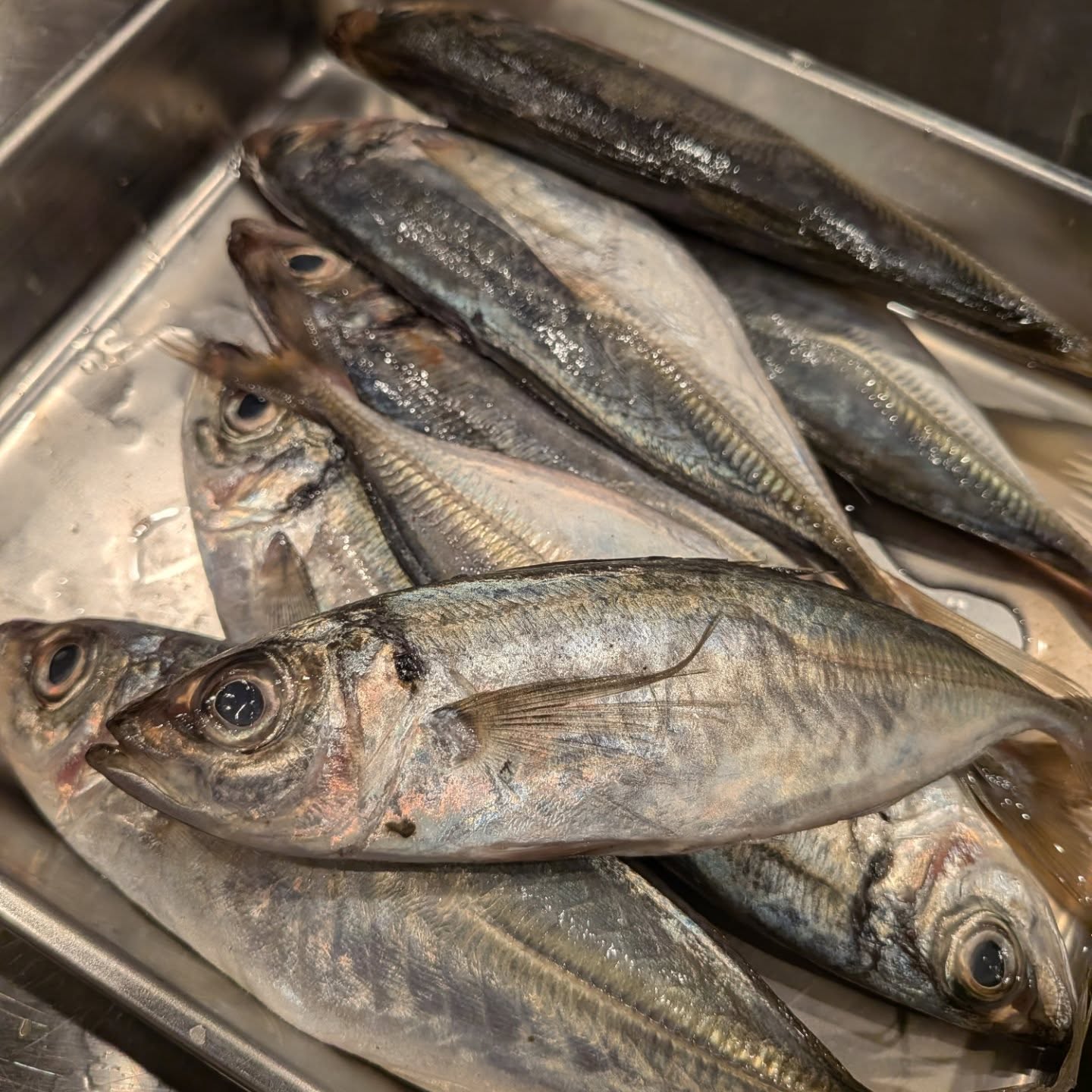 料理2